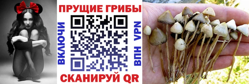 Псилоцибиновые грибы Magic Shrooms  Нытва 